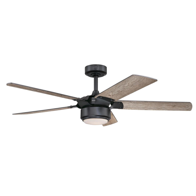 Morris 52'' Ceiling Fan with LED Lights