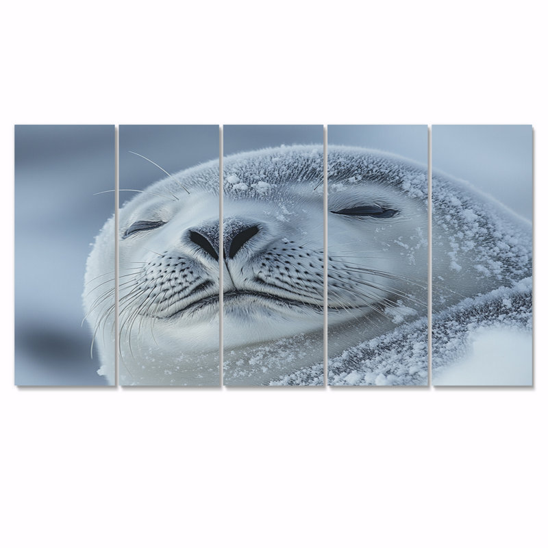 «Seal in Black and Grey Tones II», ensemble d'art sur toile, H 28 po x l 60 po