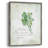Fresh Parsley Framed Print - Solid Wood-242473923