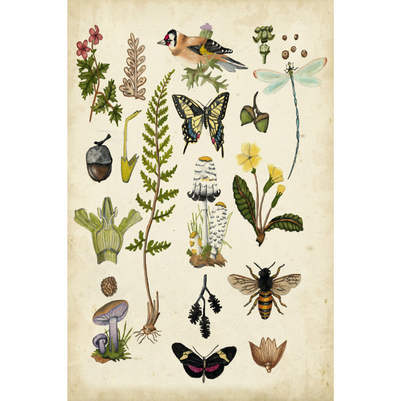 A Walk In The Forest I by Naomi McCavitt - Wrapped Canvas Painting, 91cm H x 61cm W x 3.8cm D