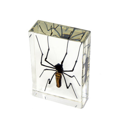 Pylant Animals Figurines & Sculptures