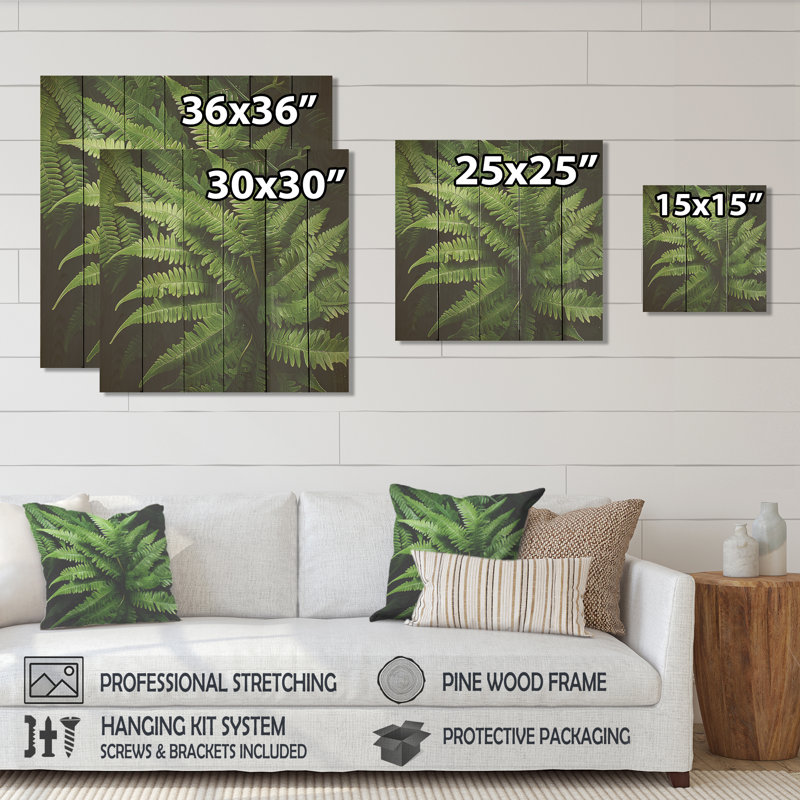 «Green Fern Forest Beauty I» - fougères sur bois, H 15 po x l 15 po