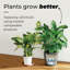 Classico Pot Planter-16493121-16493124