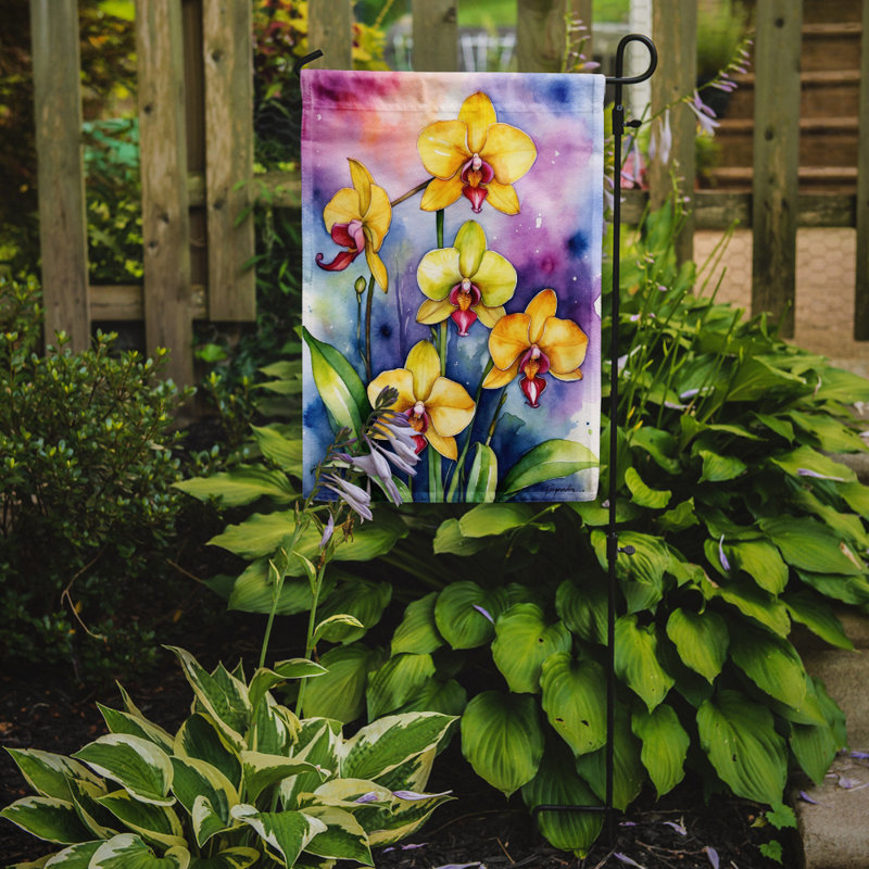 Orchidées paphiopedilum, drapeau du jardin, Orchidées Paphiopedilum