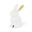 Golden Eared Hare, White-1174788610