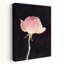 Soft Pink Rose Delicate Elegant Romantic Rose Flower Nature Wall Art Print 1 Piece Wrapped Canvas Wall Art-172512429