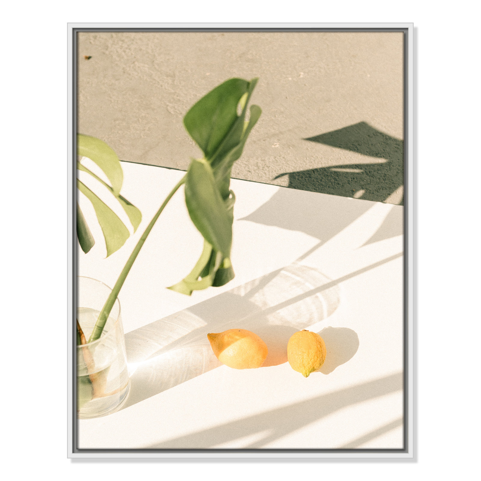 Citrus and Palms Print, 29.5'' H x 23.5'' W x 2'' D, White Framed