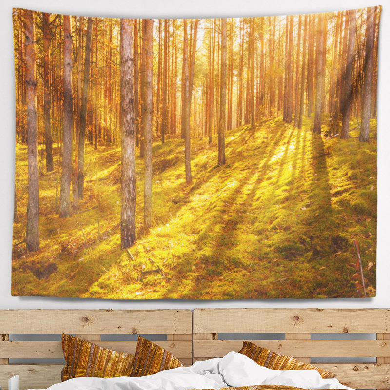 Beaux rayons de soleil dans une tapisserie de forêt épaisse, H 32 po x l 39 po