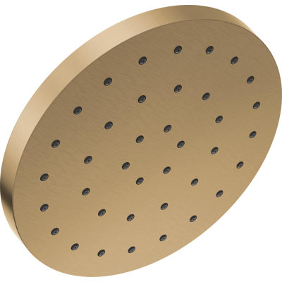 Rain Fixed Shower Head with H2Okinetic Technology, 2.5 GPM