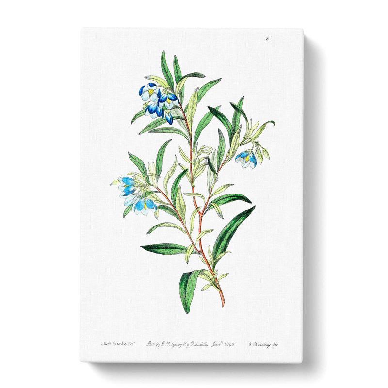 Bluebell Flowers - Wrapped Canvas Painting, 50cm H x 35cm W x 3cm D