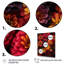Zinnia orange, rose et fleurs-92008054-92008053