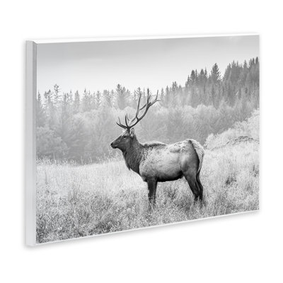 «Stoic American Elk», art mural sur bois par Sissi et Seb