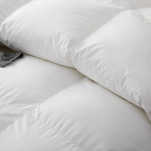 https://assets.wfcdn.com/im/40296851/resize-h310-w310%5Ecompr-r85/2570/257069218/lightweight-goose-down-feather-blend-comforter-soft-750-fill-power-hotel-collection-duvet-insert.jpg