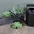 Rafferty Metal Planter Box-341618699
