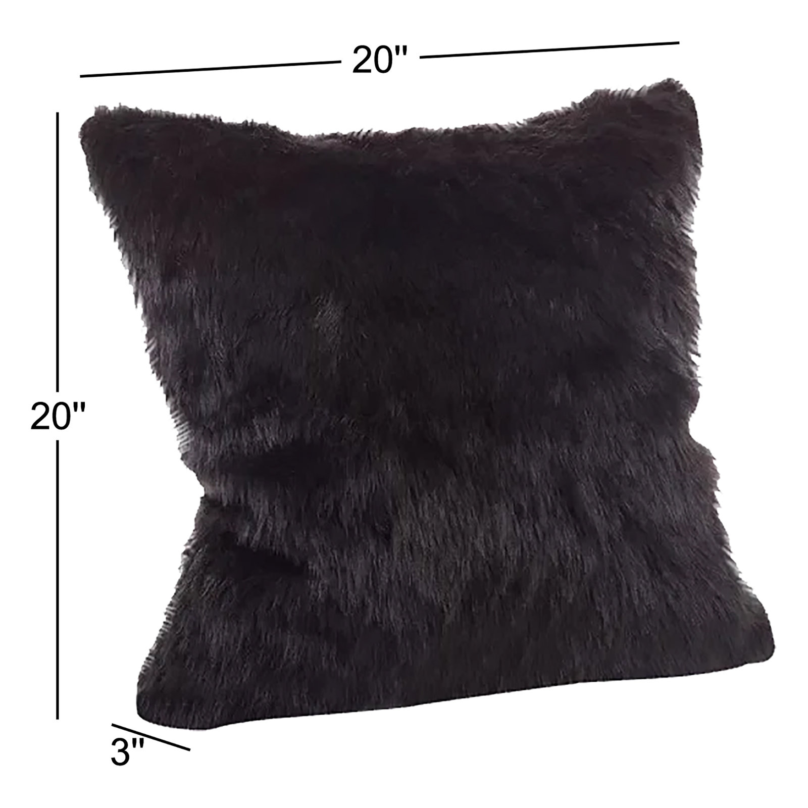 Lecia 20" x 20" Throw Pillow, Black