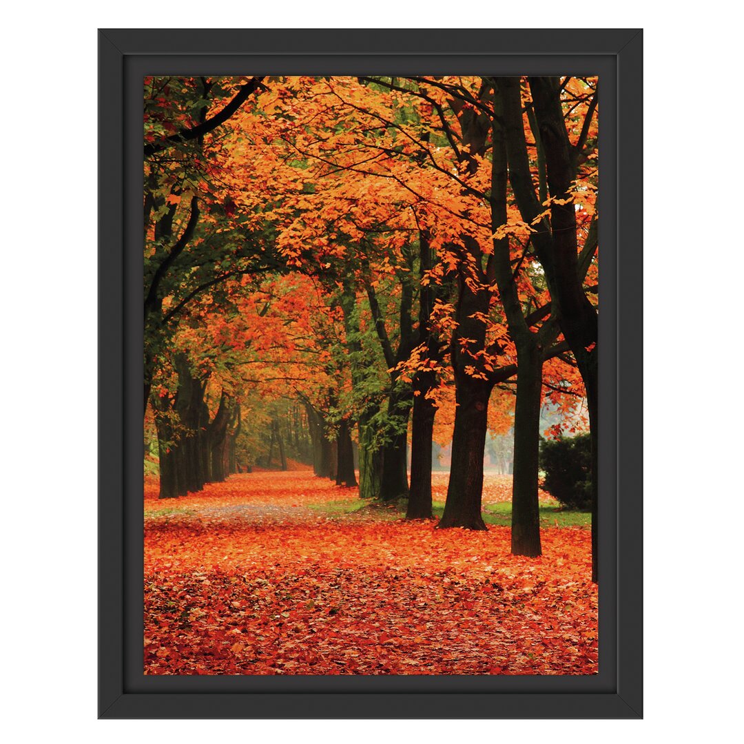 Gerahmtes Wandbild BaumalleeHerbst