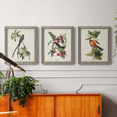 Pl 168 "Moucherolle à queue fourchue", ensemble de 3 peintures sur toile encadrées