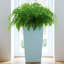 Cubico Planter Box-1415655771-1415655766