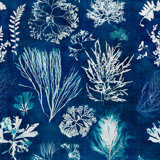 Atoll Abstract Wallpaper Roll