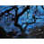 Bleu givré sélectionné
