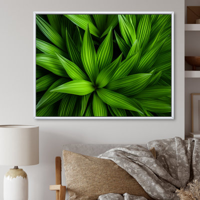 Greenerys Gaze sur impression sur toile