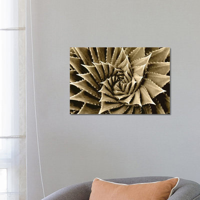 Taupe Succulent I by Mia Jensen - Wrapped Canvas Panoramic Print