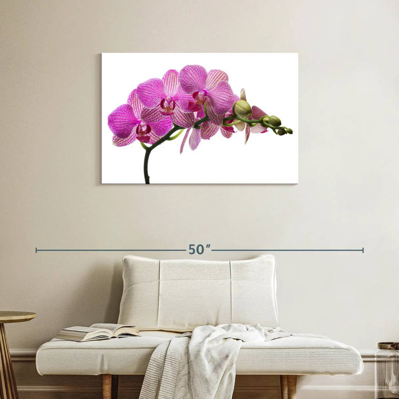 Fleurs d'orchidées fraîches Harnek