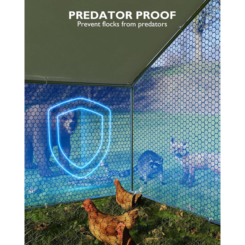 Chicken Coop, 199.9cm H x 299.7cm W x 398.8cm D