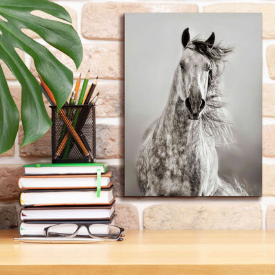 Epic Graffiti 'Caballo De Andaluz' By Lisa Dearing " Caballo De Andaluz " by Lisa Dearing