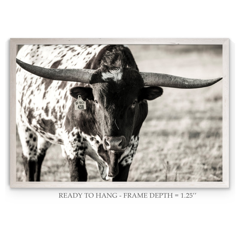 « longhorn portrait » par paul cezanne-cadre photo, reproduction d’art, H 18 po x l 24 po x P 1,25 po, Cadre de toile blanc
