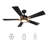 Quanique 52'' Ceiling Fan with LED Lights