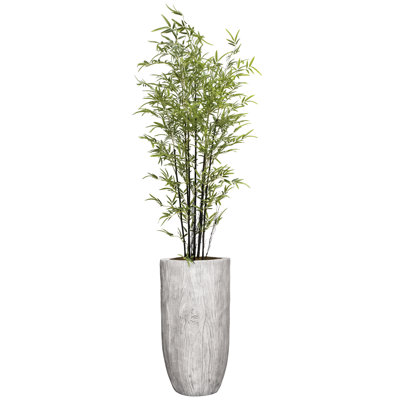 Aislin Artificial Palm Plant in Planter