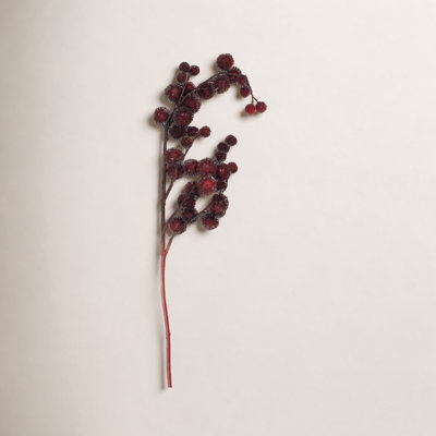 Weeping Thistle Stems