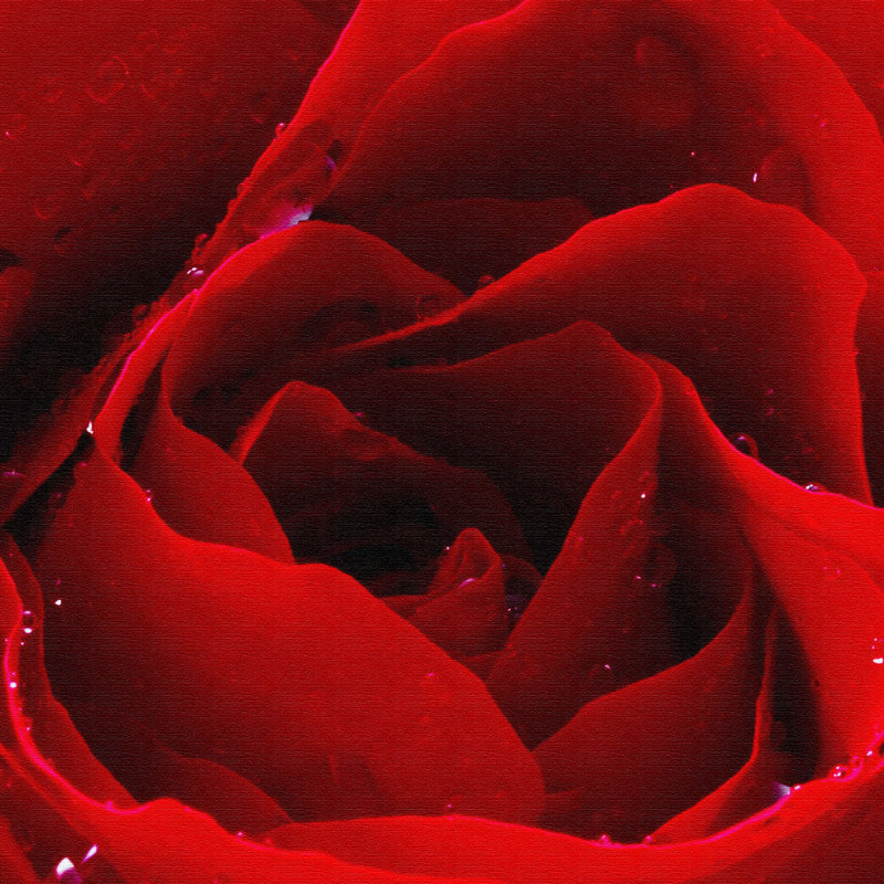Love Print on Canvas in Red, 100 cm L x 150 cm B x 2 cm T