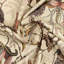 Ardmore Outdoor Fabric-153779554