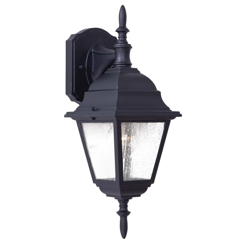 Lanterne murale d'extérieur 1 lumière Rosalina, Noir
