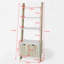 Agiiar 179cm H x 65cm W Ladder Bookcase