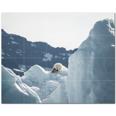 Murale en céramique satinée Bear Photo 8 po x 8 po