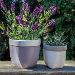 Ceramic Pot Planter