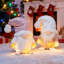 Lampe de Noël gnome en forme d'étoile - poupée décorative de 8,66 po avec des étoiles illuminées, une barbe blanche douce et un chapeau de Cosplay pour la table, le manteau de cheminée, les décorations des Fêtes