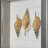 2 Piece Sea Shell Shadow Box Wall Décor Set