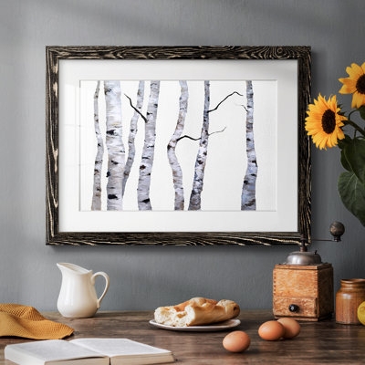 " Birch Trees I "