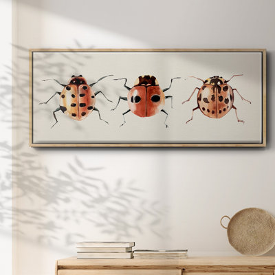 Coccinelle