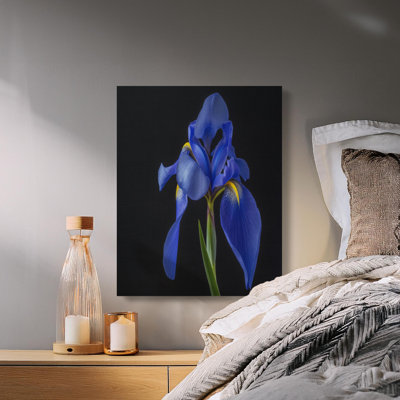 Fishel Wrapped Canvas Print Set