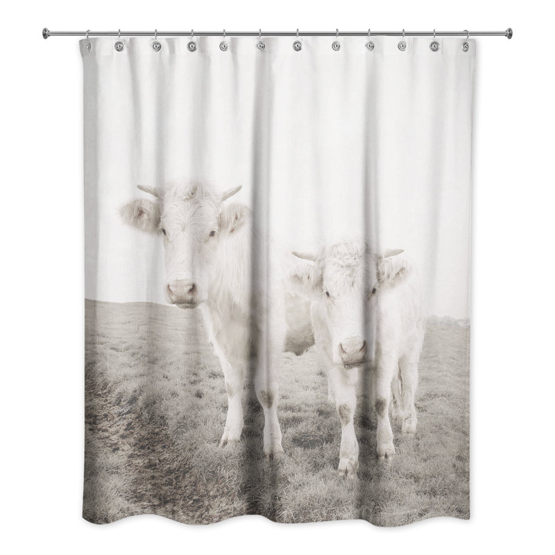 Whitewashed Cow Photograph Shower Curtain