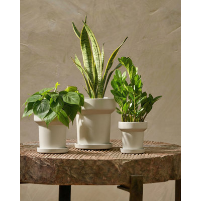 Ensemble de 3 pots de fleurs minimalistes modernes noirs, pots de fleurs d'intérieur 5/6 / 7 "avec trous de drainage pour plantes d'intérieur et décoration intérieure