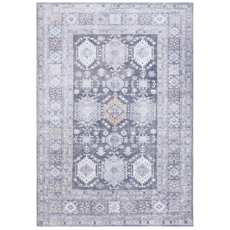 Brazzell Performance Machine Washable Oriental Rug, Rectangle 4' x 6'