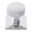 Parkview Brass Knob Backplate-1724081517