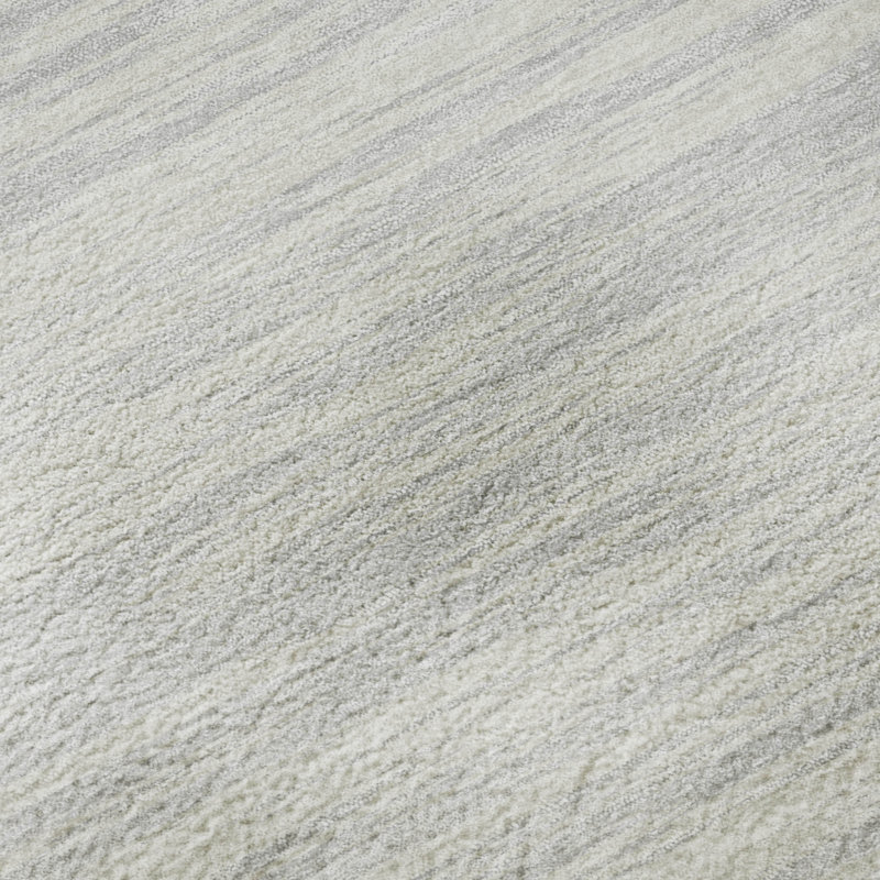Premium Machine Washable Prisco Silver Rug, Rectangle 5' x 7'6"