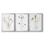 Pressed Botanical I - Toile tendue avec châssis sur mesure - 3 pièces-915172537-915172540